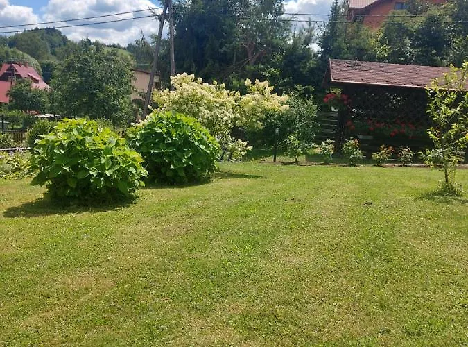 Goscinne Wapienik בית אירוח *