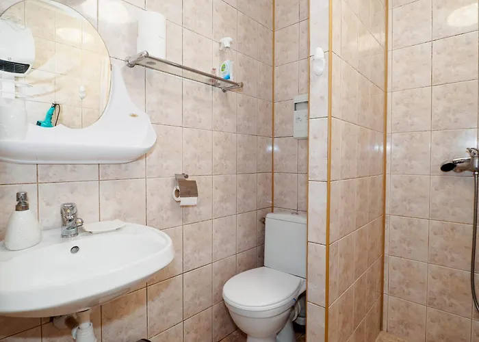 Goscinne Wapienik ויסלאו